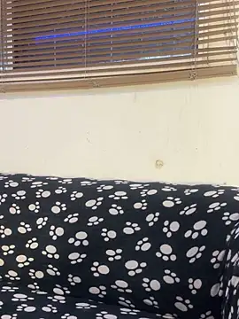 cody fox10 online show from April 14, 1:17 pm