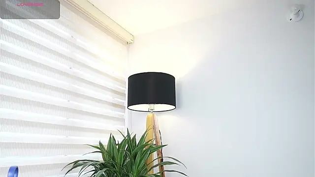 DeusbelliS online show from October 14, 8:31 pm