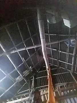 Tamilauntyhot online show from November 19, 4:23 am