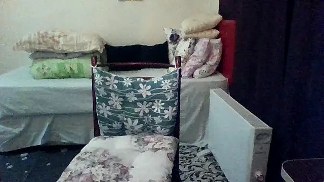 st206boy online show from March 8, 11:08 pm