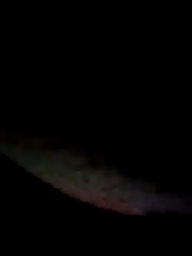 kamita-12 online show from January 16, 8:24 pm