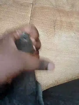 Saikishore00000 online show from September 15, 8:25 am