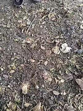 Telugu person12 online show from January 14, 7:58 am