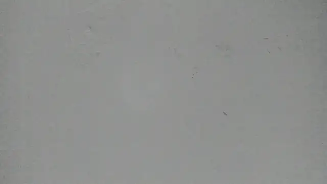 Sophia Ebony online show from March 13, 12:01 pm