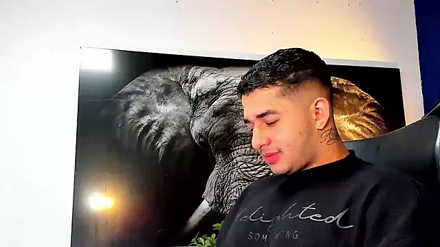 king falconer online show from November 26, 3:18 am