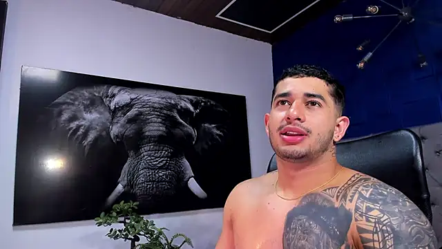 king falconer online show from January 6, 3:54 am