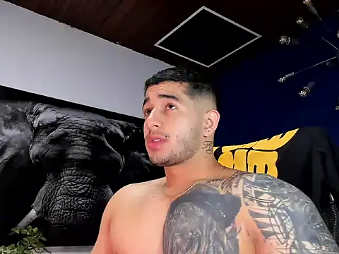 king falconer online show from January 17, 2:16 am