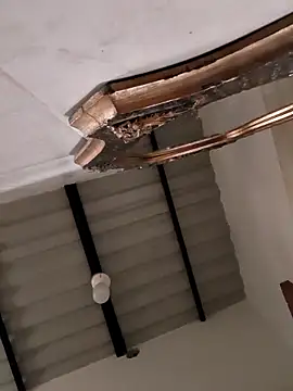 Hiroshi Shen online show from October 27, 11:03 am