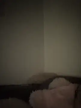 Bimalehung online show from November 16, 2:06 am