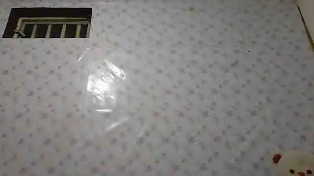 Roselingalvis13 online show from January 14, 2:28 am