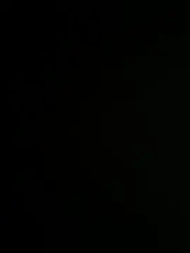 Bray9031 online show from December 19, 4:58 pm