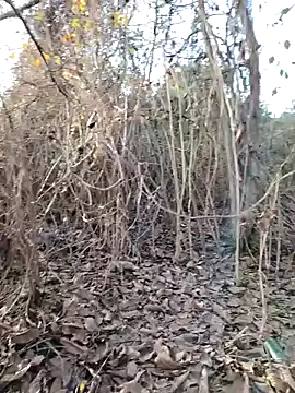 Prince-sexy online show from December 21, 2:13 pm