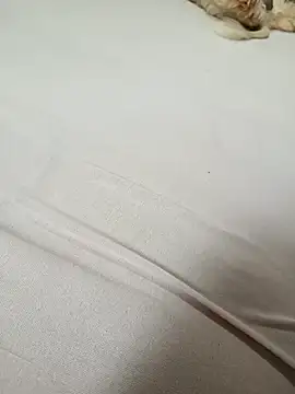 SIGILOCUIABA online show from January 17, 1:49 pm