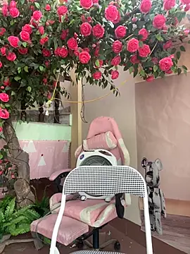 Snapshot of Bollozzy_89 chatting on October 4, 4:54 am Bollozzy 89 online show from October 4, 4:54 am