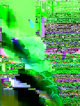 Snapshot of Bollozzy_89 chatting on November 21, 6:34 am Bollozzy 89 online show from November 21, 6:34 am