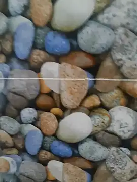 coocon2020 online show from October 28, 1:31 am