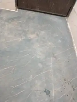 Wet BunnyFun online show from April 13, 6:02 pm