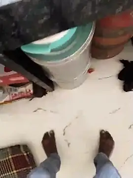 Wet BunnyFun online show from May 13, 11:29 am
