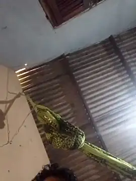 mayevviaqui online show from March 11, 7:42 pm