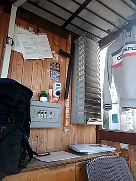 Exotico2025 online show from September 16, 11:55 am