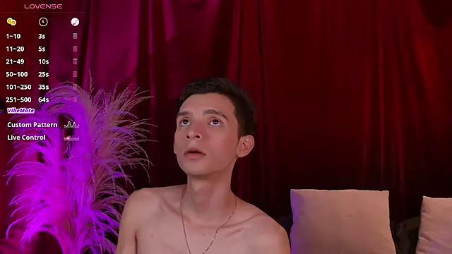 VicenteFerrer online show from February 5, 11:09 pm