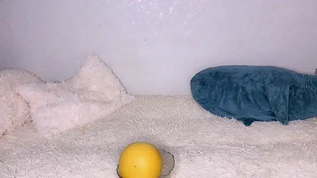 Snapshot of LustRaiderz1 chatting on October 14, 1:56 pm LustRaiderz1 online show from October 14, 1:56 pm