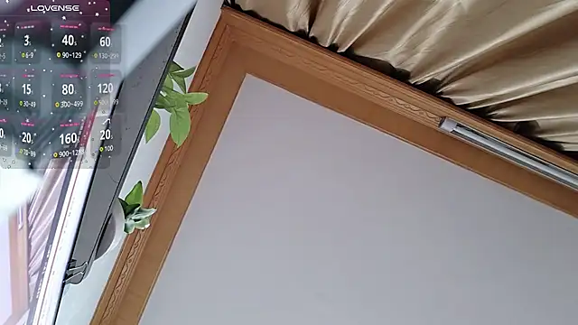 Haili-1 online show from October 5, 1:53 pm