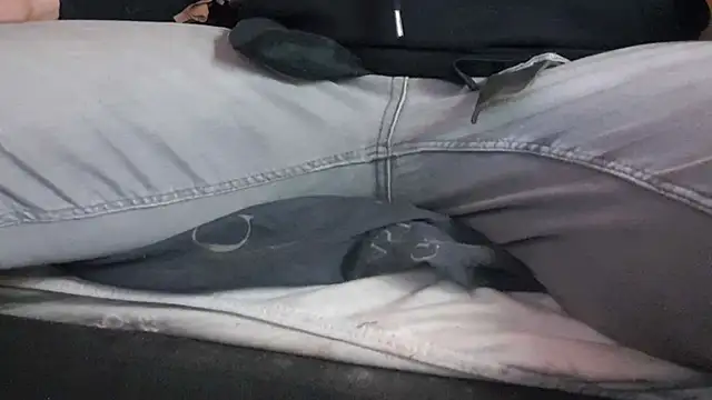 pietje1991 online show from April 24, 12:02 am