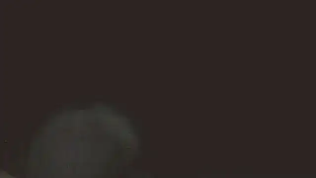 Snapshot of pietje1991 chatting on May 16, 11:36 pm pietje1991 online show from May 16, 11:36 pm
