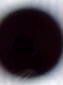 Snapshot of Cumnowd1 chatting on October 19, 1:28 am Cumnowd1 online show from October 19, 1:28 am