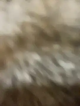 Sayhi xo online show from September 27, 9:25 am