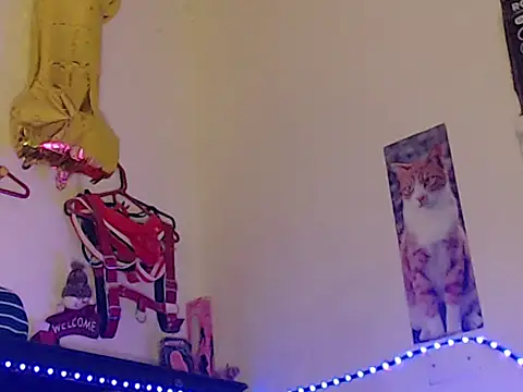 Npga96 online show from April 17, 8:01 pm