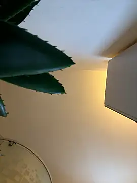 Snapshot of Michel_huge chatting on January 12, 6:51 am Michel huge online show from January 12, 6:51 am