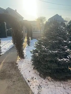 Snapshot of Michel_huge chatting on January 18, 7:56 am Michel huge online show from January 18, 7:56 am