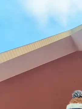 Snapshot of Michel_huge chatting on February 11, 5:45 am Michel huge online show from February 11, 5:45 am