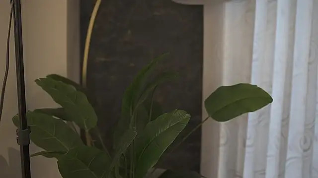 Ariaa Isabell online show from September 11, 6:30 pm