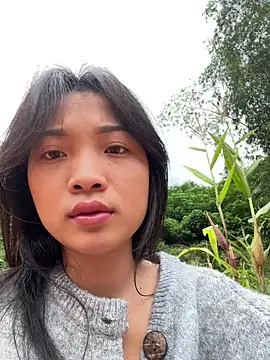 Phayphay77 online show from November 3, 8:37 am