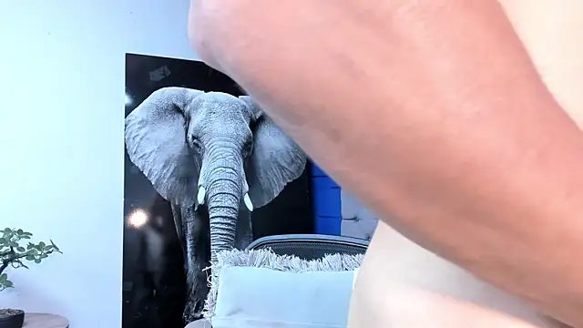 andres-clark92 online show from September 20, 5:03 pm