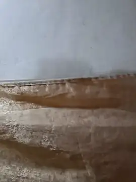 darryl hugecok online show from March 15, 7:14 am