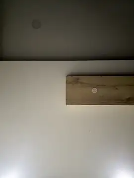 ALANNFERRER online show from September 10, 9:31 am