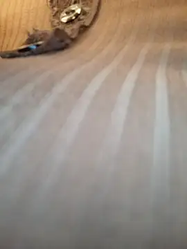 Snapshot of Sandiq99six chatting on November 7, 11:05 pm Sandiq99six online show from November 7, 11:05 pm