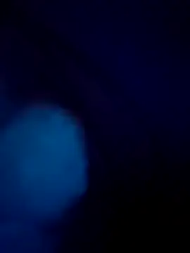 treefrog2025 online show from September 17, 11:28 pm