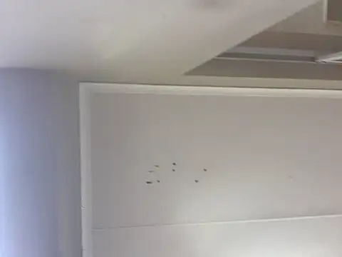 sex-machanic online show from November 28, 3:31 am