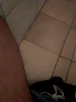 Snapshot of Lushen704 chatting on October 29, 6:15 am Lushen704 online show from October 29, 6:15 am