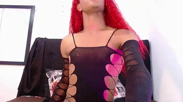 bloom bbc online show from November 11, 12:49 pm