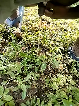 BlackhorseBBC online show from October 14, 2:01 am