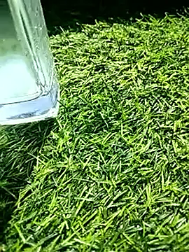 BlackhorseBBC online show from February 18, 6:31 am