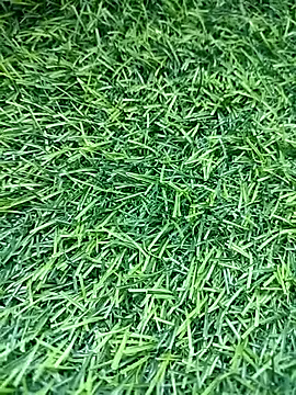 BlackhorseBBC online show from March 14, 9:48 am