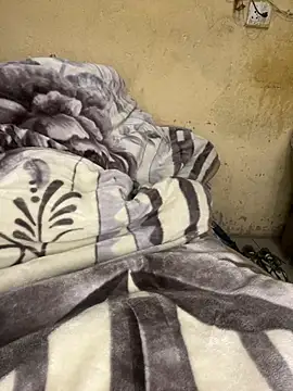FeeingSplicing online show from June 27, 1:17 pm