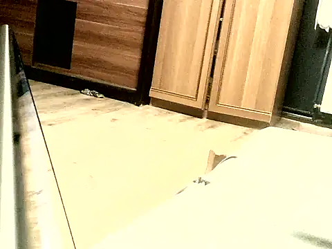 Snapshot of KissMeAss9387 chatting on September 28, 7:08 pm KissMeAss9387 online show from September 28, 7:08 pm